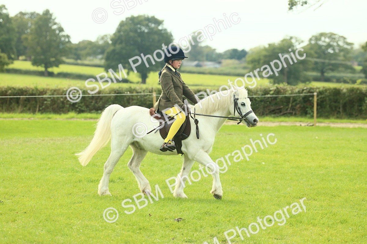 SBM_69811 - S59 - Mountain & Moorland Ridden Small Breeds