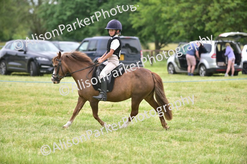 20260614-2688 - Class 13 - Pony Club Pony
