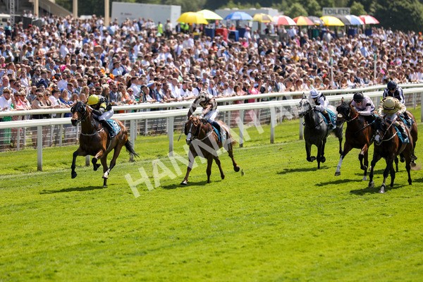 270523-Race 1-Doctor Khan Junior-0397 - Race 1 1.35pm William Hill Keep Your Raceday Positive Handicap