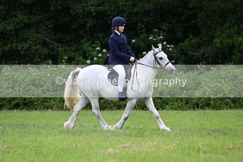 WJ7_2599 - Class 12A Coloured Class