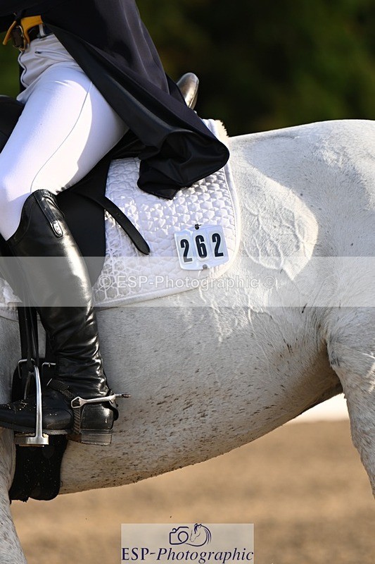 231021-155855-20986 - 262-GOOD.BOY.ALEX-Tara.Jefferies-DR