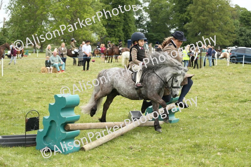 20250517-0524 - Class 20 - Beginners Working Hunter