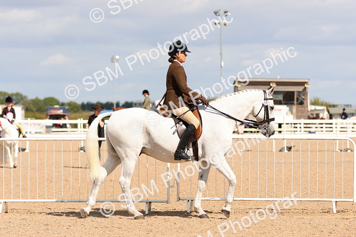 SBM_13158 - Class 211 - Ridden Hunter - Small
