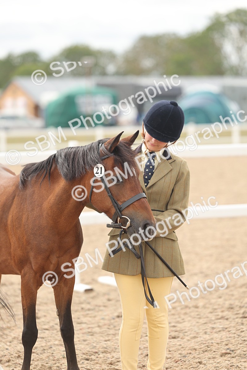 SBM_17011 - Class 312 - IH Competition Horse-Pony