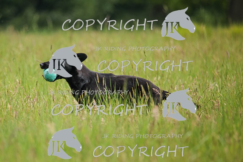 2R6A7788 - 28 Liz