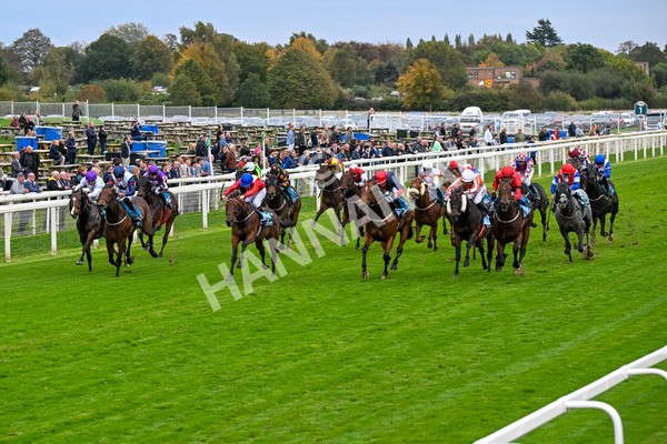 101025-Race 6-Dan Tucker-0471 - Race 6 Copper Knight Winning-Most Horse Handicap at York