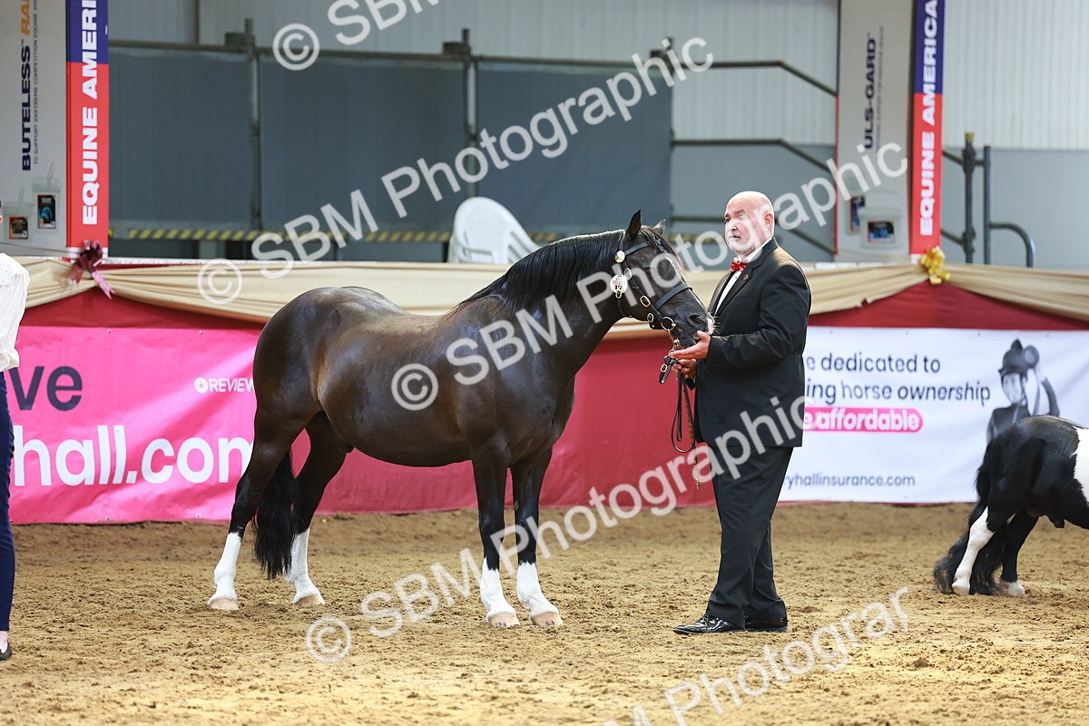 SBM_18651 - Class 903 - Sup Final - IH Pre Vet