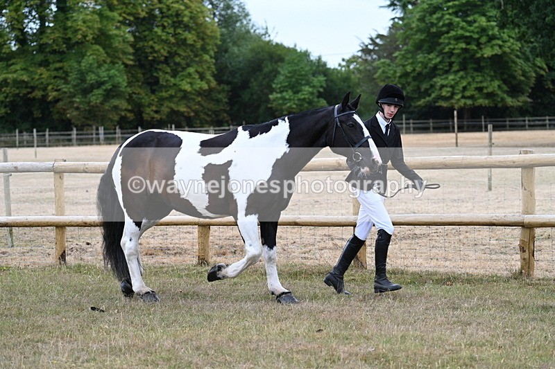 WJ7_8837 - Class 4a Prettiest Mare 14.2hh and over