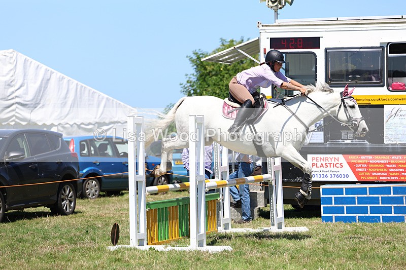 3E7A5667 - Class 9: Senior British Novice/90cm open