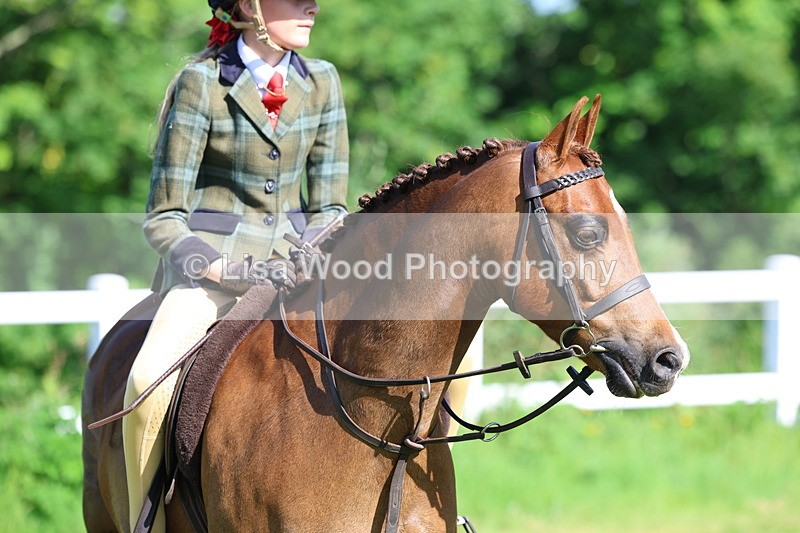3E7A6029 - Class 27: Novice Working Hunter Pony