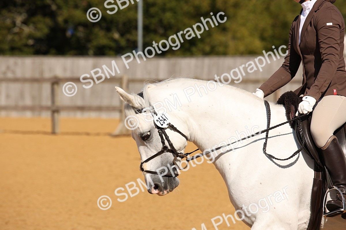 SBM_18485 - D31 - Grand Tour - PYO Open