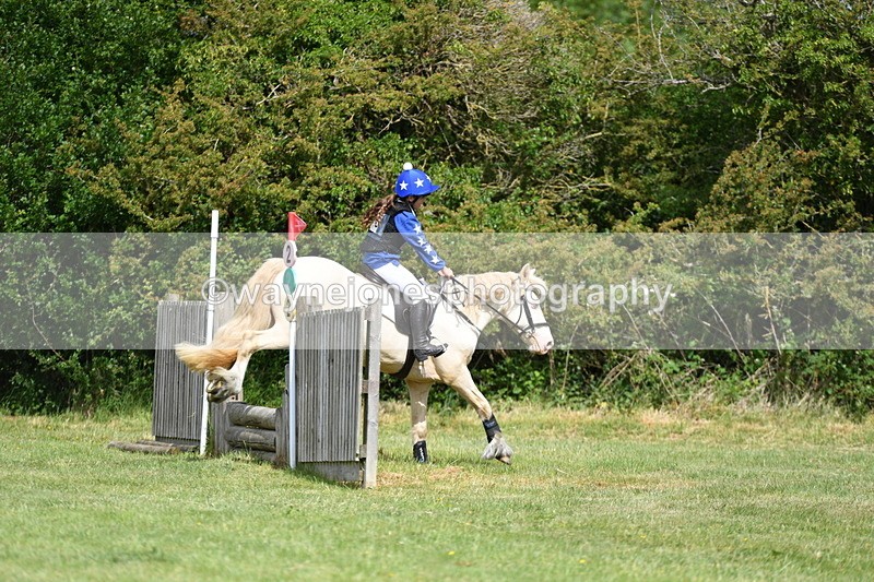 WJ5_2702 - Class 2 40cm