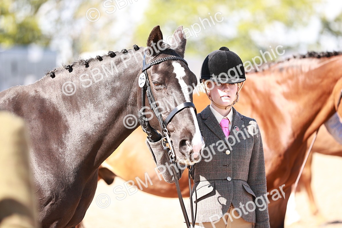 SBM_13333 - class 406 - IH Hunter