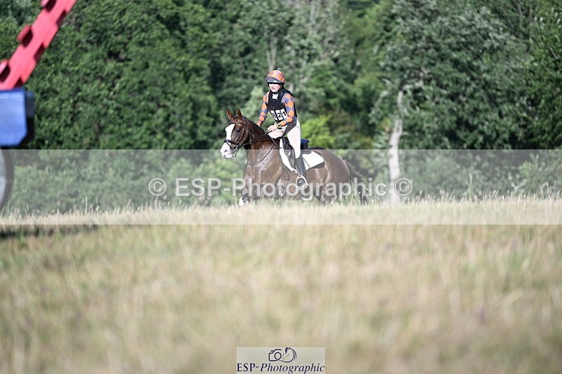 250803A-180347-18581 - R-821-Josephine.Grey-GEMMASTON.ALL.THAT.GLITTERS