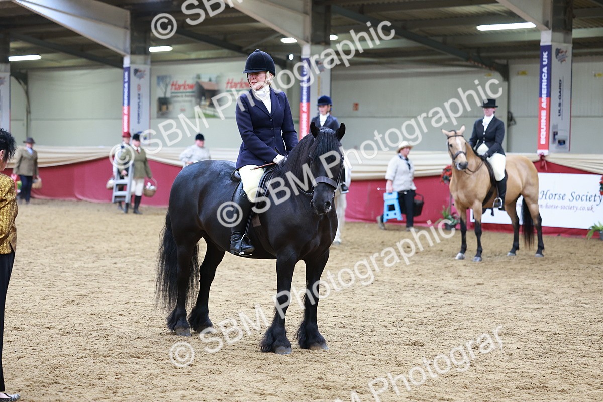 SBM_18771 - Class 952 - M&M Ridden Supreme Final