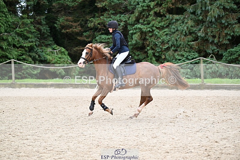 250622A-115131-01288 - 60cm