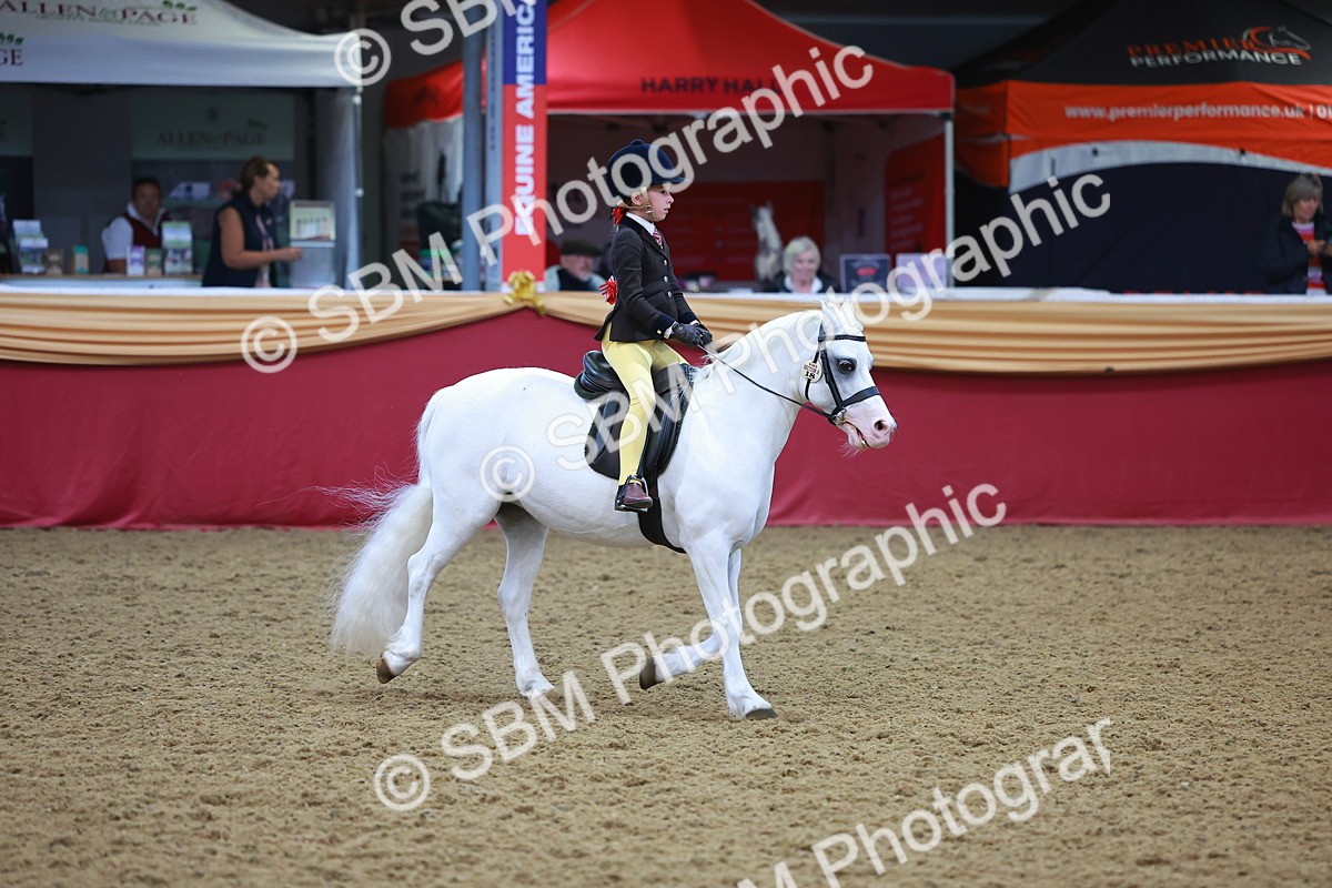 SBM_10694 - Class 103 - HOYS Veteran Qualifier - Ridden Pre Vet