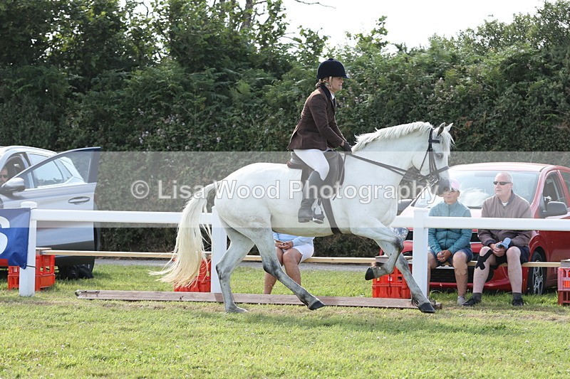 JPP_2991 - Class 20: Working Hunter 70cm