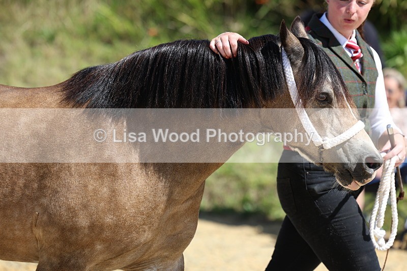 3E7A9537 - Class 32: Best Grass Kept