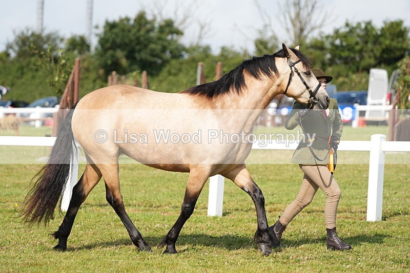 DSC05133 - Class 48: NPS M&M 2/3 year olds