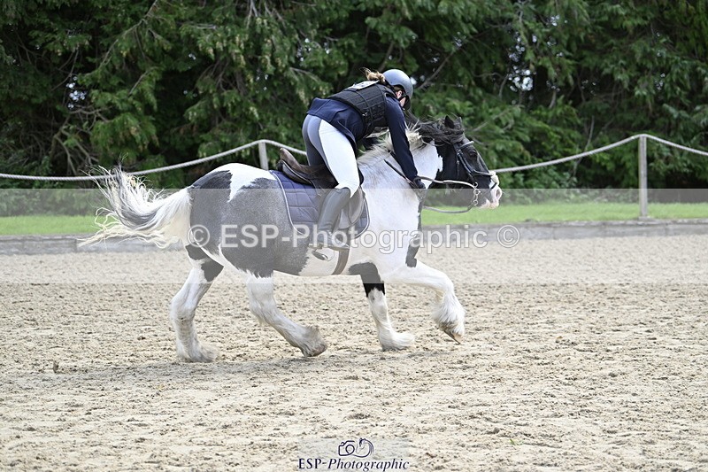 251005A-121450-03674 - Cls 08 Mini 70-75cm