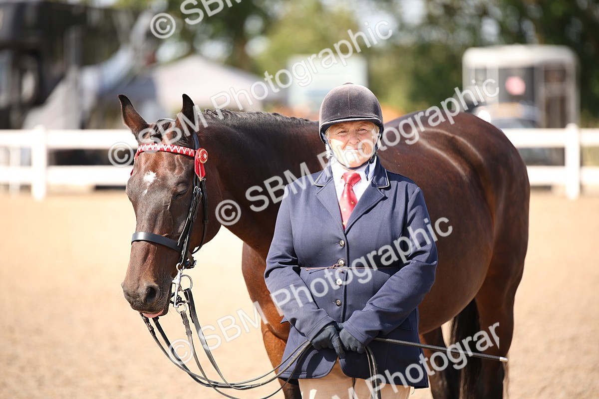 SBM_03067 - Class 17 Prettiest Mare IH or Ridden