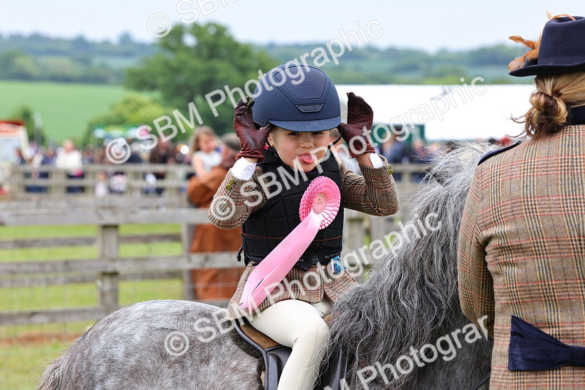 SBM_08389 - Class 42-43 - LIHS BSPS Heritage Working Sports Pony