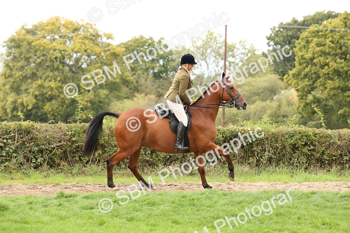 SBM_66435 - S66 - Hunter Ridden