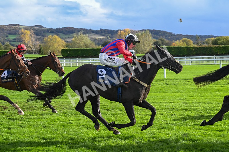 251025-Race 2-Minella Supreme-7789 - Race 2