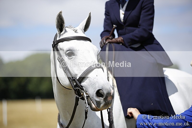 _C7A0257 - Side Saddle Classes BVRC Show 2018
