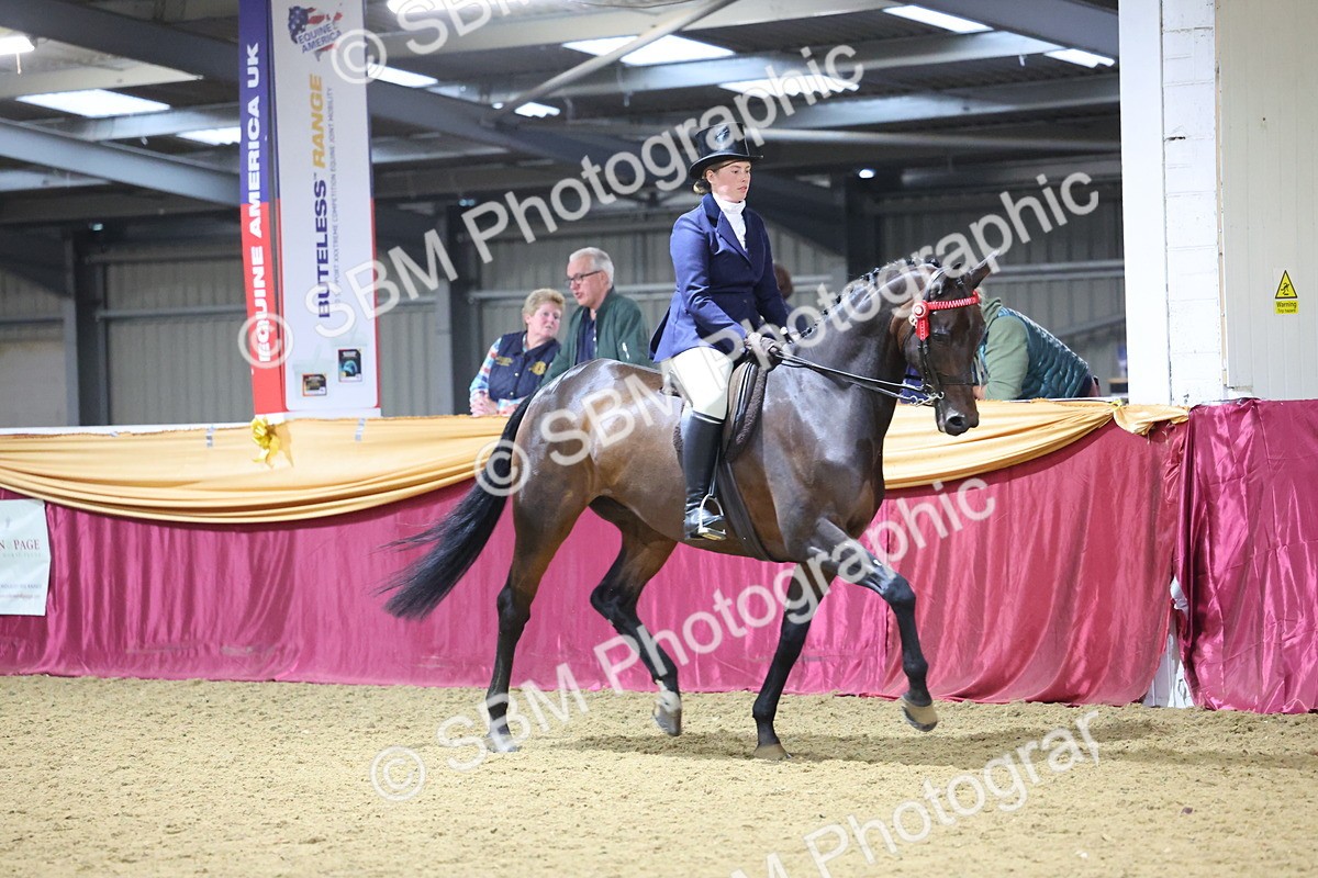 SBM_19080 - Class H Foreign Breeds Champ