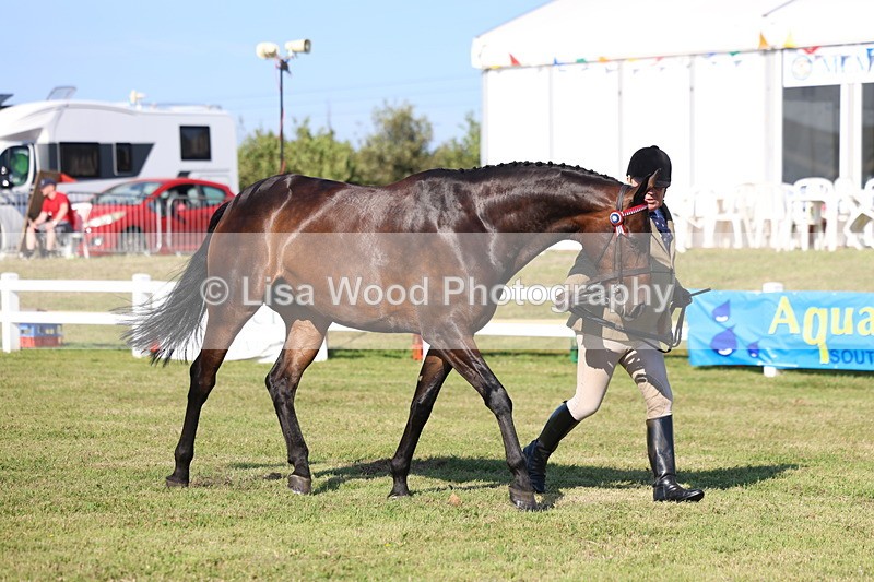 3E7A5644 - Class 2: Rising Star Large Hack/Riding Horse