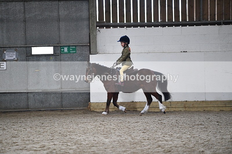 WJ5_6989 - Class 10 Childs Pony
