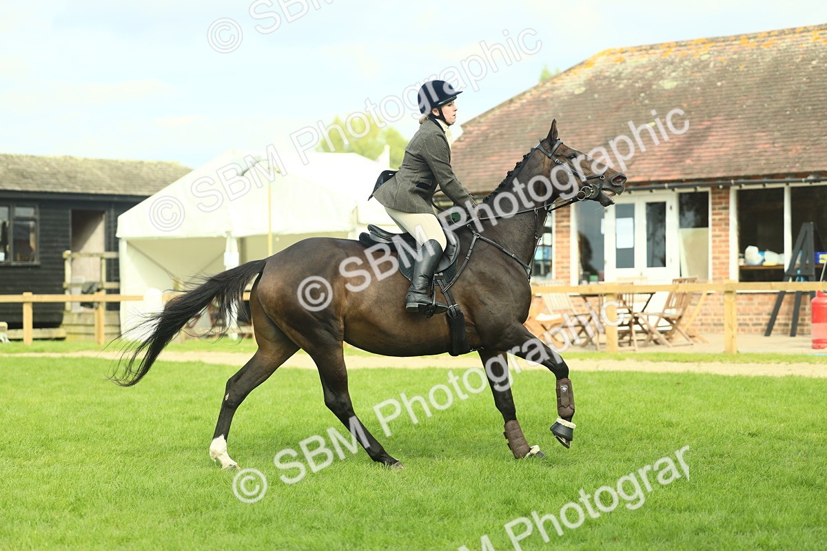 SBM_48017 - S32 - Novice & Newcomers Working Hunter
