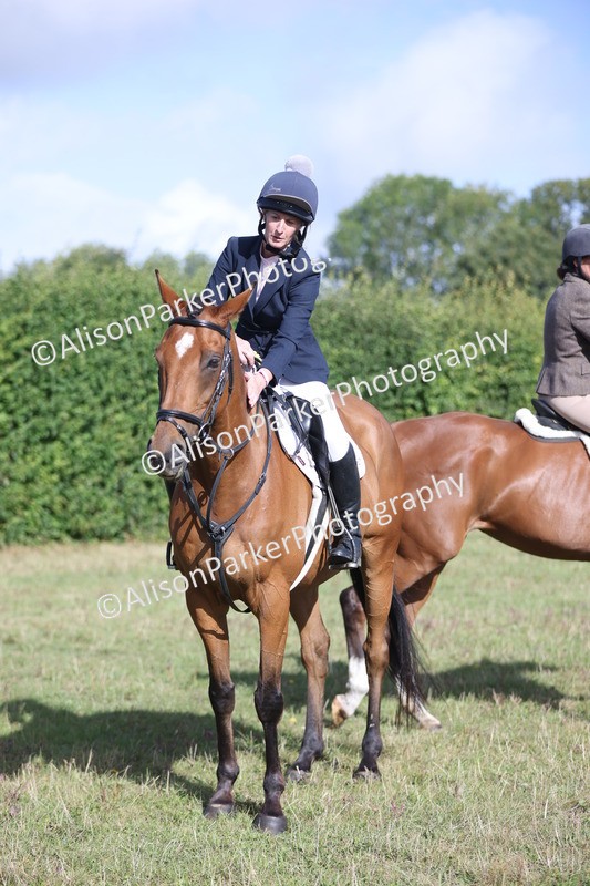 20250831-0942 - Class 14 - Ex Racehorse