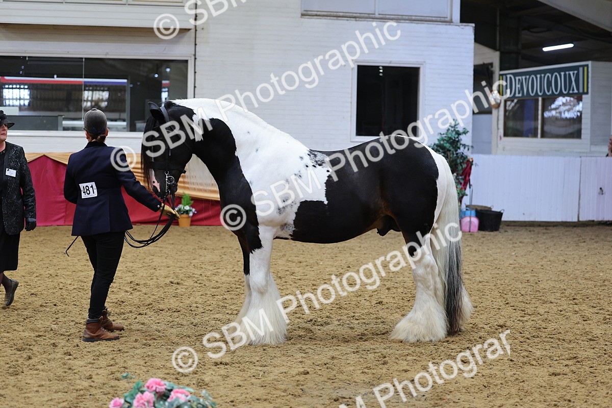 SBM_22756 - Class 903 - Supreme Final - IH Pre Vet