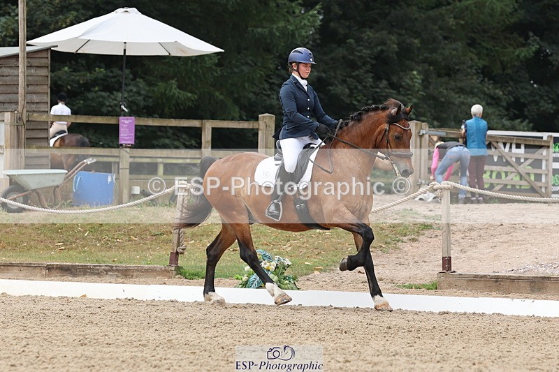 250718A-114551-00946 - 117-Alexandra.Northwood-Scurlagecastle.Gino