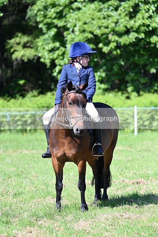 WJ7_0375 - Class 8 First Rally Pony