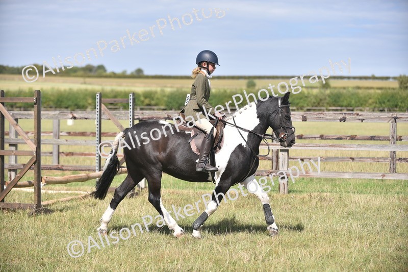 20260906-2656 - Class 12 - 14.2hh and Under