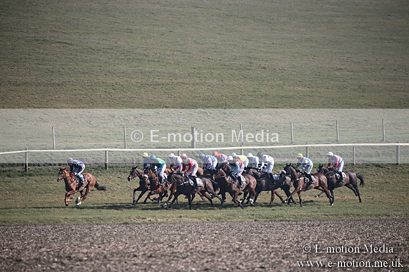 PtP 230219 203 - Vine & Craven Point-To-Point - Barbury 23/02/19