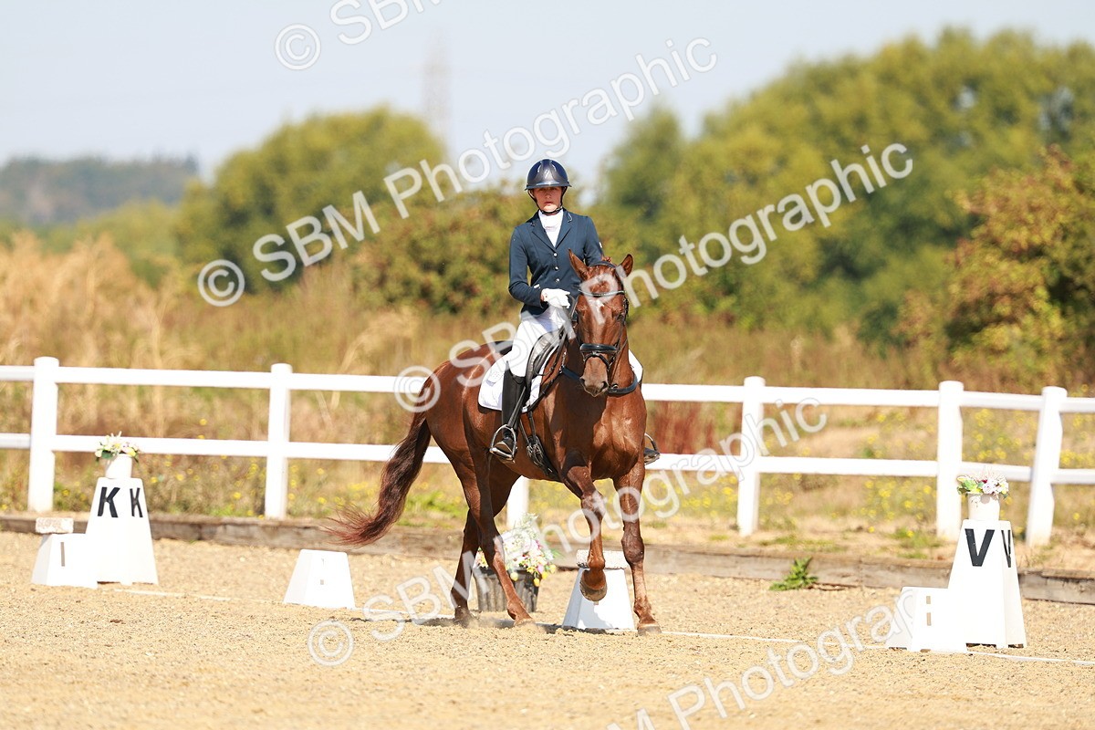SBM_017517 - Class 9 - N5 Bronze 10.33.11.36