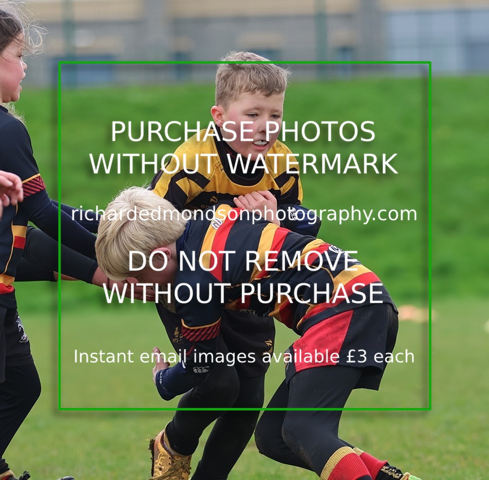 533A5638 - Kendal Rugby Mini & Youth (Sunday 12/4/26)
