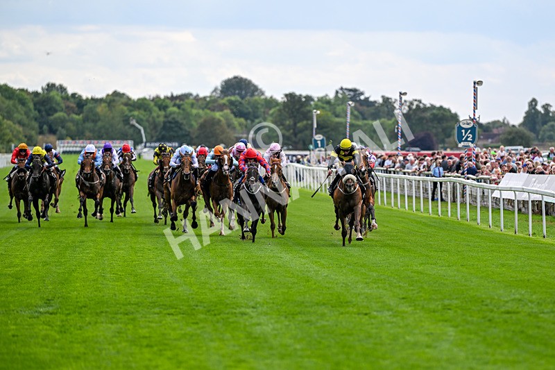 190826-Race 1-Air Force One-0653 - Race 1 13.50pm Hong Kong Jockey Club World Pool Handicap