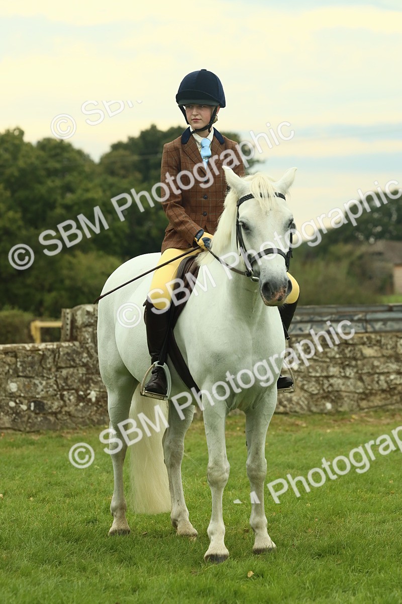 SBM_72240 - S60 - Mountain & Moorland Ridden Large Breeds
