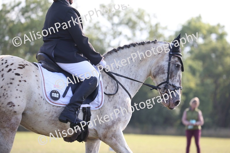 20250731-0612 - Class 1 - Intro 4