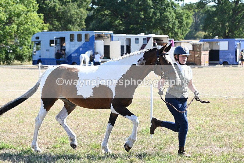 WJ6_4207 - Class 16 Condition & Turn Out