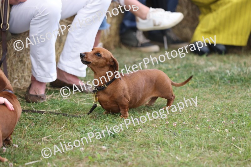 20250607-0478 - Best in Show