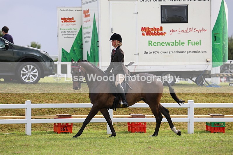 3E7A8099 - Class 2: Rising Star Large Hack/Riding Horse