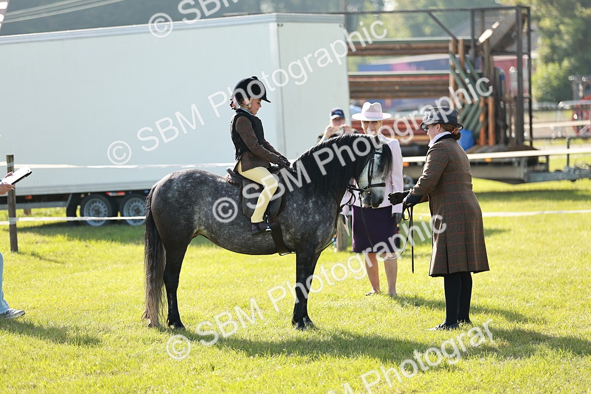 SBM_11214 - Class 106-107 - BSPS LIHS Working Sports Pony