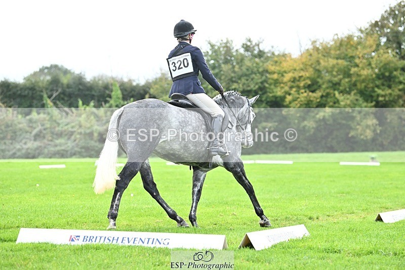 241024-115457-02554 - 320-Alice.Tollworthy-OUR.DOLPHIN.STAR